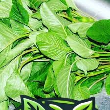Terere